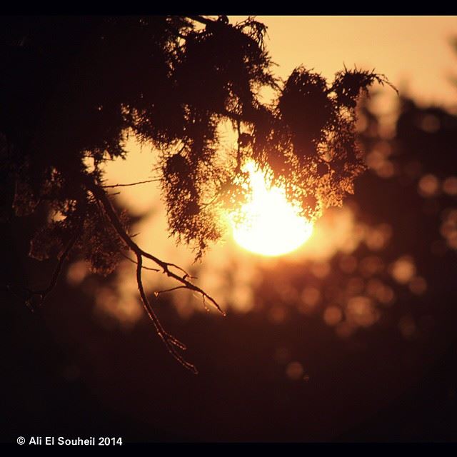  sunset  southlebanon  south_lebanon  lebanon colorful  livelovelebanon ...