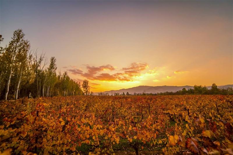 🌄🌄.... sunset sun clouds landscape landscapephotography... (Deïr Taanâyel, Béqaa, Lebanon)