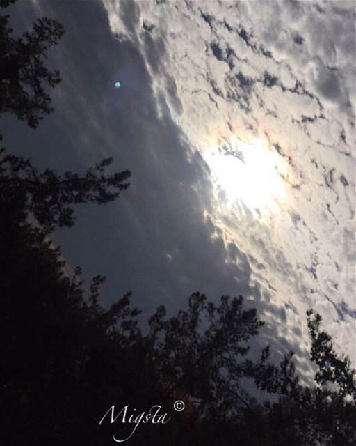  sunset  sun  color  red  orange  nature  camera  instanature  instagram ...
