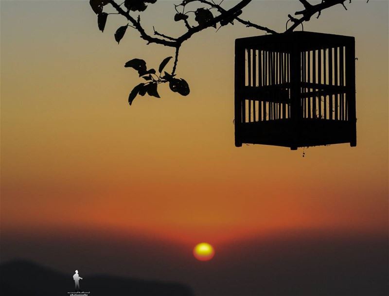  sunset🌅  sun  ig_sunset  birdcage chouf jbaa lebanon...