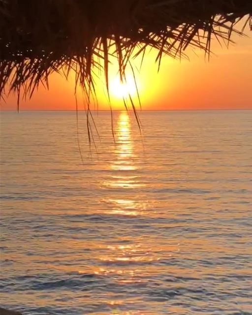  sunset  sunrise  nature  instagood  instapic  instasummer  instafollow ... (Byblos - Jbeil)