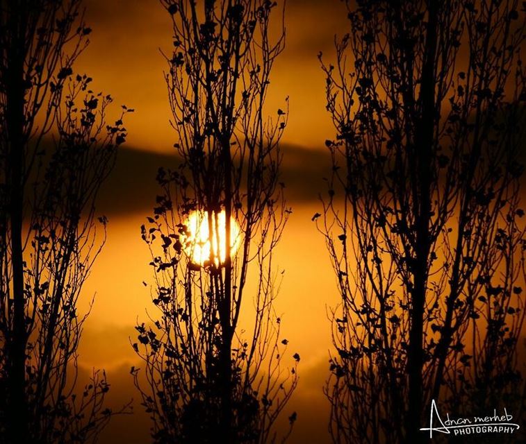  sunset  sunrise  sun  socialenvy  PleaseForgiveMe  pretty  beautiful  red... (Bardé, Liban-Nord, Lebanon)