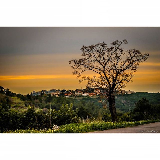  sunset  sunset🌅  nature  tree  winter  winterphotography  sky  mountain ... (Joûn, Liban-Sud, Lebanon)