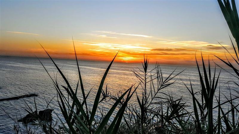  sunset  sunsetlovers  sunsetlove  pierreandfriends  beach  batroun ... (Pierre & Friends)