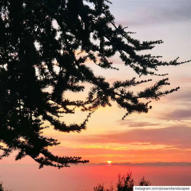  sunset sunsetphotography sunset_vision sunset_pics skyphotography...