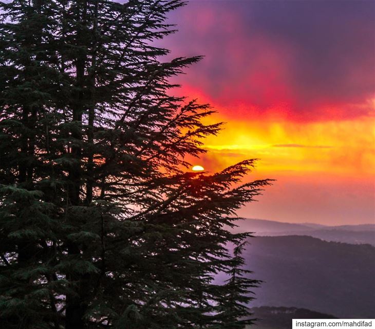🌅🌅.......... Sunset sunshine nature landscape shouf clouds... (Al Shouf Cedar Nature Reserve)