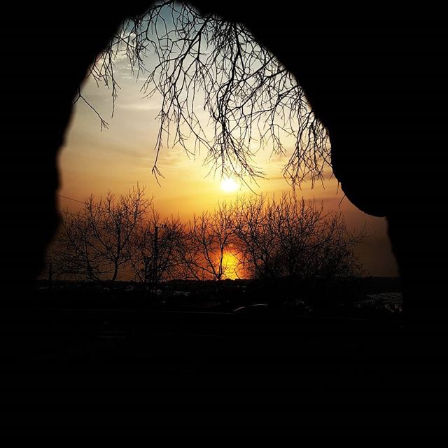 Sunset through a beautiful tree. tourleb  tourlebanon  lebanoninsta ... (Dmalsa, Mont-Liban, Lebanon)