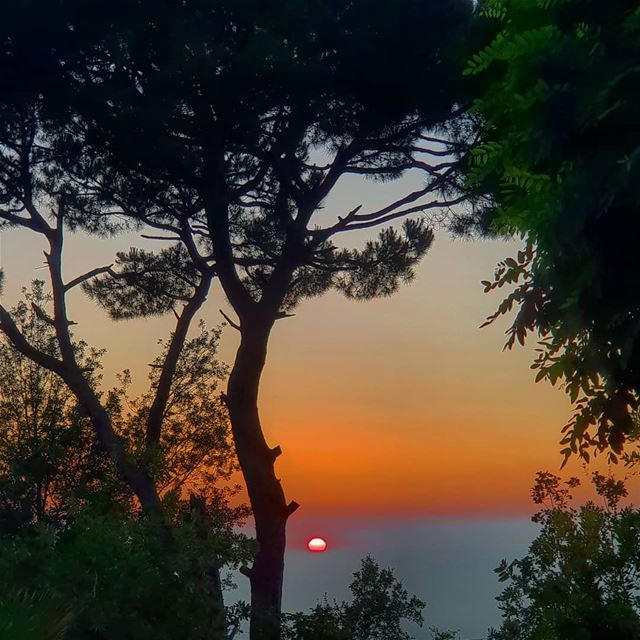 Sunset today from my garden  summer sunset garden instagood instapic... (Qarnayel)