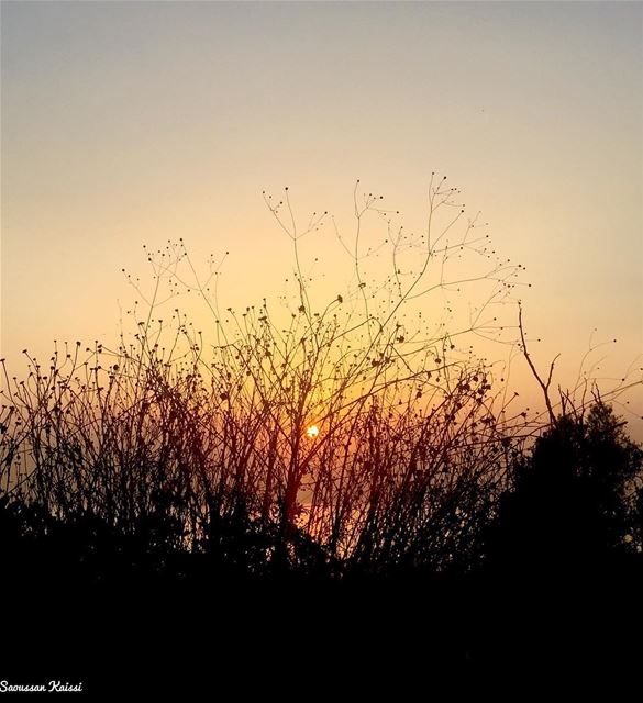  sunset  today ...