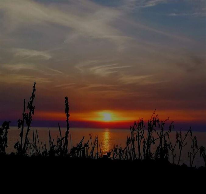  sunset  today ...