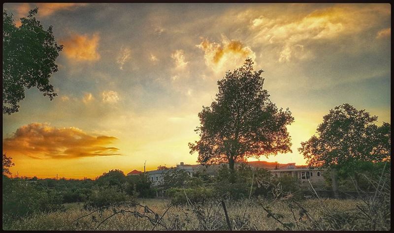 sunset 💛 trees  sky  clouds  orangesky  green  mountains  chilling ... (`Akkar, Liban-Nord, Lebanon)