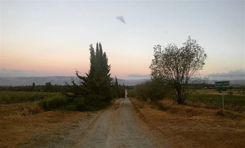  sunset view nature lebanonlovers photoshoot road trip walk life wild... (West Bekaa- Aana)