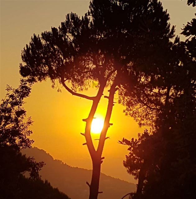 Sunset while walking the dogs in Baskinta ! tourlebanon  tourismlebanon ... (Baskinta, Lebanon)