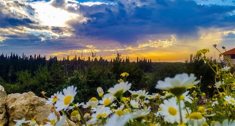 Sunset will still be my favorite color :) 🇱🇧🇱 🇧🇱🇧  Lebanon ...