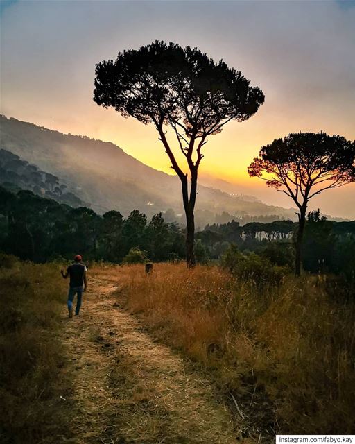  sunset_vision sunset_stream tree_captures naturelovers sky_brilliance... (Chbânîyé, Mont-Liban, Lebanon)