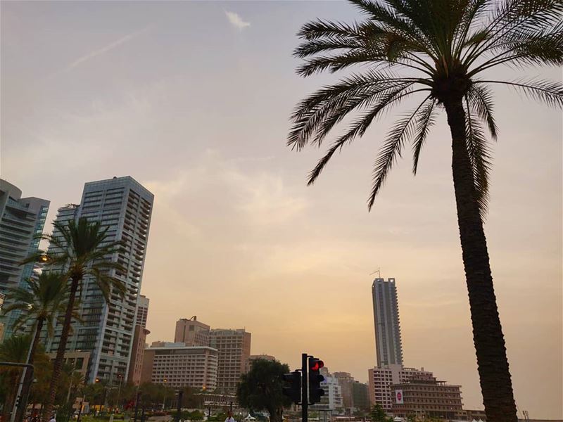 Sunsets and palm trees always make a good gram👌🏼👍🏼 (Zaitunay Bay)