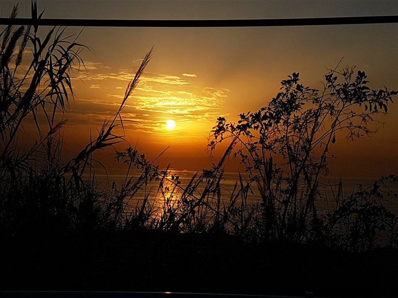 Sunsets are proofs that endings can be beautiful too ig_respect ...