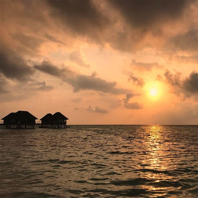 Sunsets are the proof that endings can be beautiful too❤ insta_lebanon... (Indian/Maldives)
