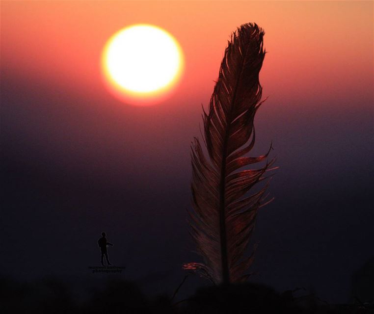 Sunsets proof that ending can often be beautiful too... sunset  sun...