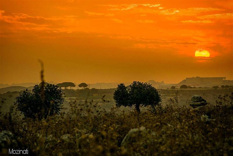  sunsets sunset_hub insta_lebanon horizon redsky redsun sunsetporn... (Lebanon Jnoub)
