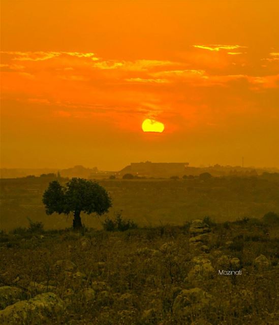  sunsets sunset_hub sunsetporn sundown sunsetlovers ig_sunsetshots... (Lebanon)