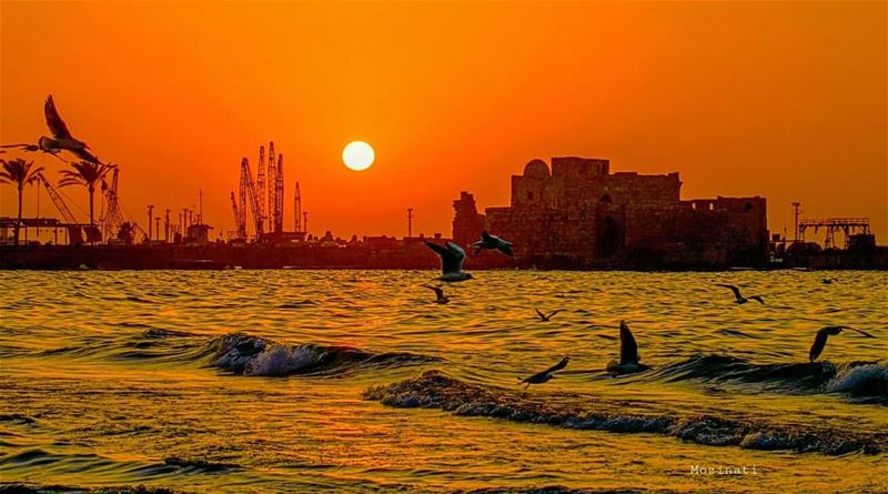  sunsets sunsetlovers sunsetlove ig_sunsetshots ig_sunset sunsetporn... (Saïda, Al Janub, Lebanon)