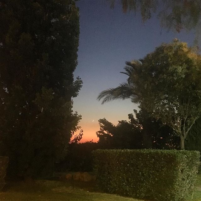 sunsets_captures  sunset  livelovetrees  saida  majdelyoun  livelovesaida... (Majdelioun)