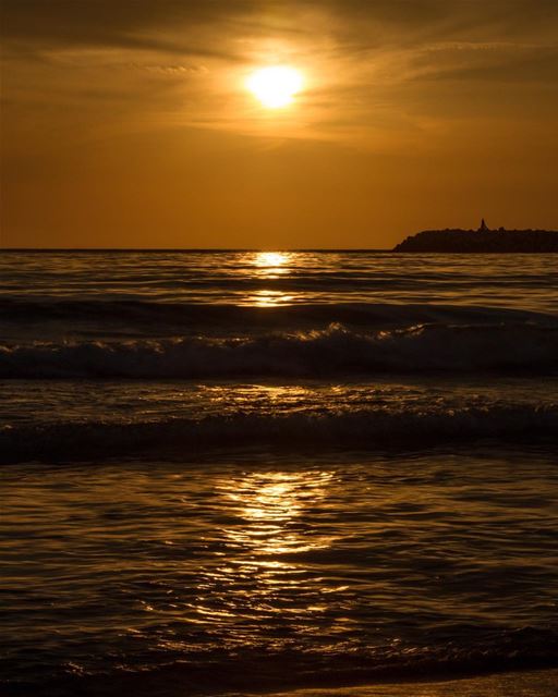 Sunsetting   ocean  sea  sunset  tree  pond  sports  beirut  cloud ...