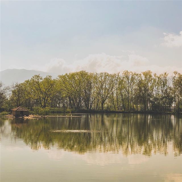 Sunshine & lake water is all i need!Would you live here?!........ (Lebanon)