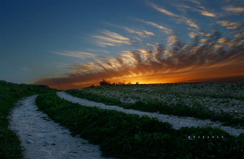 •sur ma route• landscape  landscape_captures  liveyourlife ... (Qana, Lebanon)