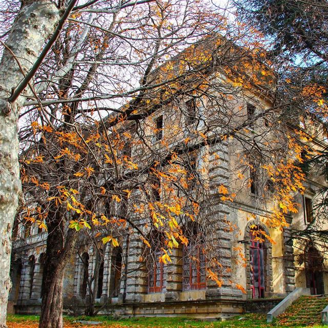 Surrounded by Fall 🍂🍁 (Sawfar, Mont-Liban, Lebanon)