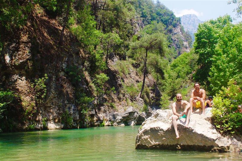  surroundedbynature  heaven  lebanon_ig  everything_imaginable_  greenlife... (Chouwen)