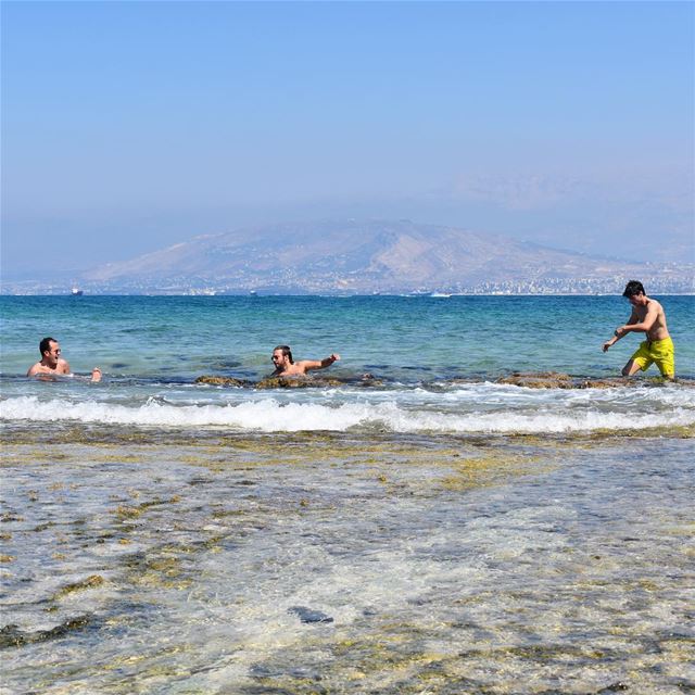 Survival mode 🌊🏝••••••••••••••••••••• rabbitisland  sea  Lebanon ... (Rabbits Island- El Mina.)