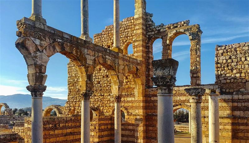 Survivor...... anjar  ruins  architecture  landscape  Lebanon ... (`Anjar, Béqaa, Lebanon)