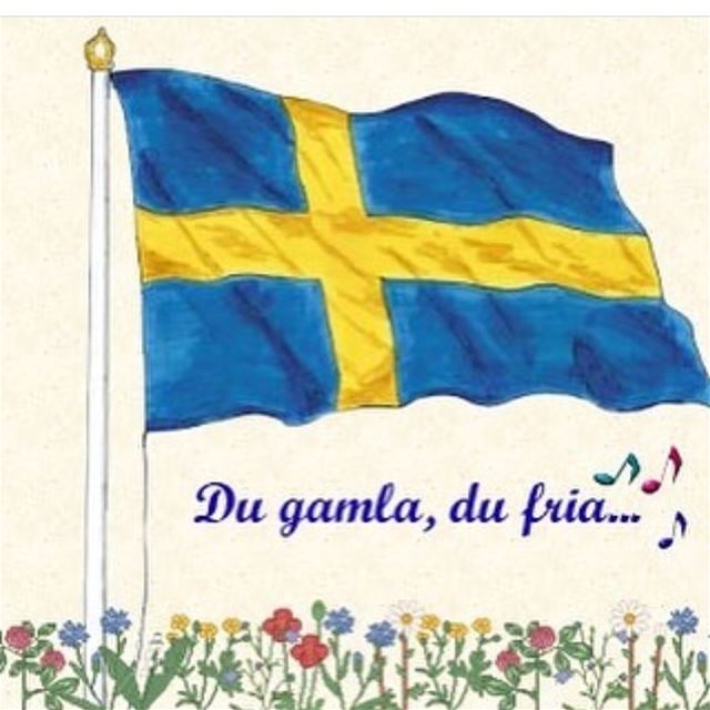  sverigesnationaldag 6/6 🇸🇪💛💙 lebanese_in_sweden  livelovelebanon ...