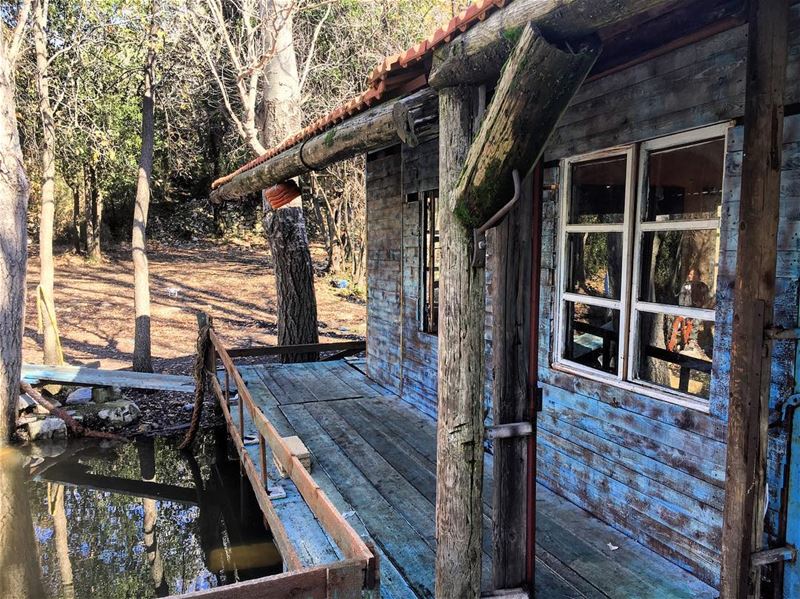 swamp house .. 🇱🇧 🇱🇧🗻 hiking  camping  campinglife lebanon ... (Abdelli, Liban-Nord, Lebanon)