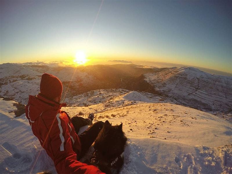 Sweet life: sunset, snow and a dog 🐕🗻❄📷 by @anthony.moussa------------ (Lebanon)
