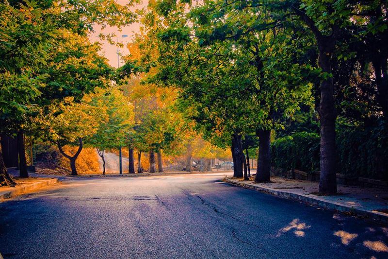 Sweet September  lebanon  lebanon_hdr  ig_lebanon  insta_lebanon ... (Sawfar, Mont-Liban, Lebanon)