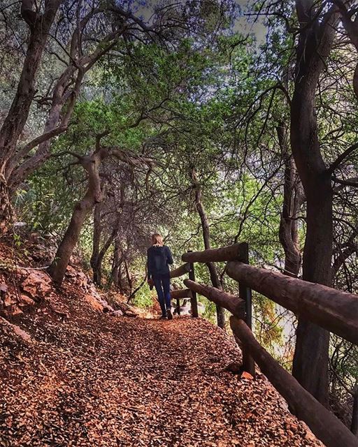  sweetnovember in  lebanon surrounded by  greenery and  fall🍁  colors ...