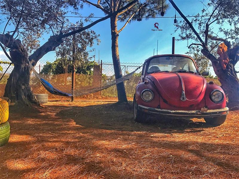 Swing your troubles away 🚘🏕. ----------------------------📍 @thepines.lb (Bechmezzîne, Liban-Nord, Lebanon)