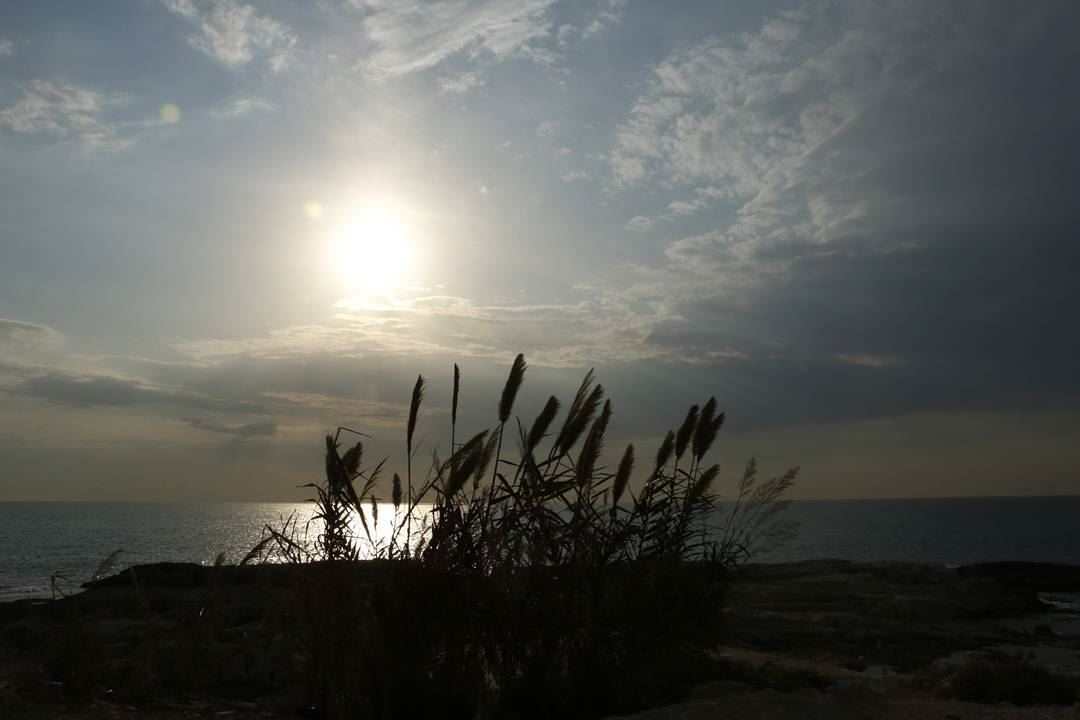 Swinging with the modest wind under  lebanese  sunset  ig_sunset ... (Pigeon Rock Beirut.)