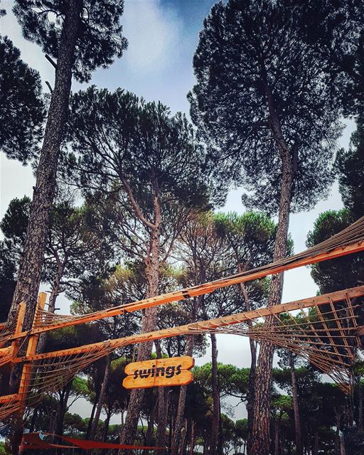  swingswing 🌳.......... lebanonblog  beirutlebanon ... (Swings)