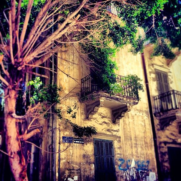 Symbiosis  savebeirutsheritage  architecture  heritage  traditionalhouses ...