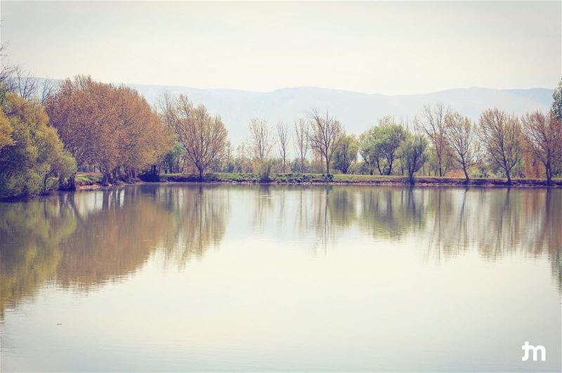 - Taanayel lake -...  lebanon  livelovenature  livelovelebanon ... (Taanayel Lake)