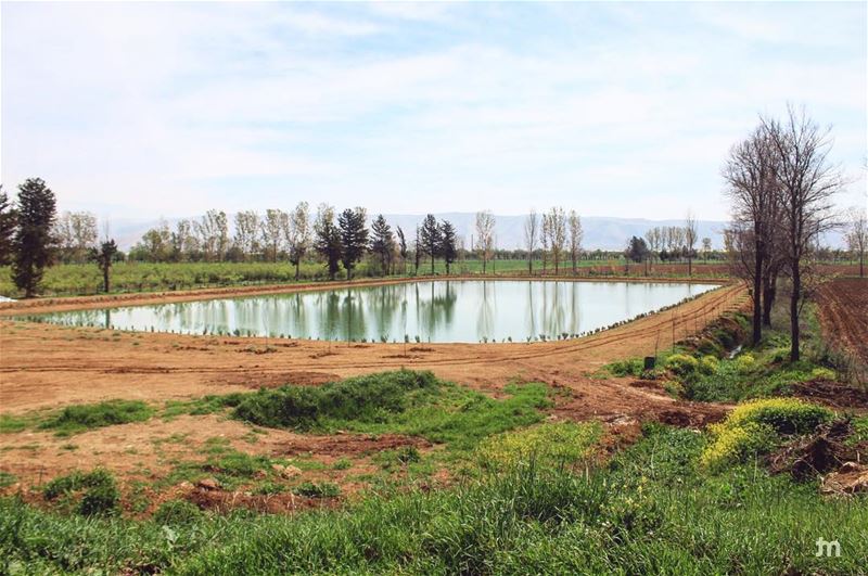 - Taanayel lake💙 -...  lebanon  livelovenature  livelovelebanon ...
