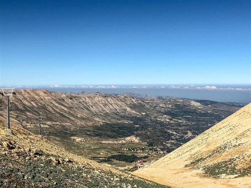 Take a breathTrust the path God has set before you ☘️............. (Cedars of God)