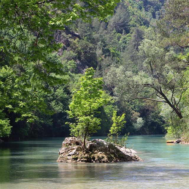 Take a deep breath,and just enjoy your life.... morning chouwen lake... (Chouwen Lake)