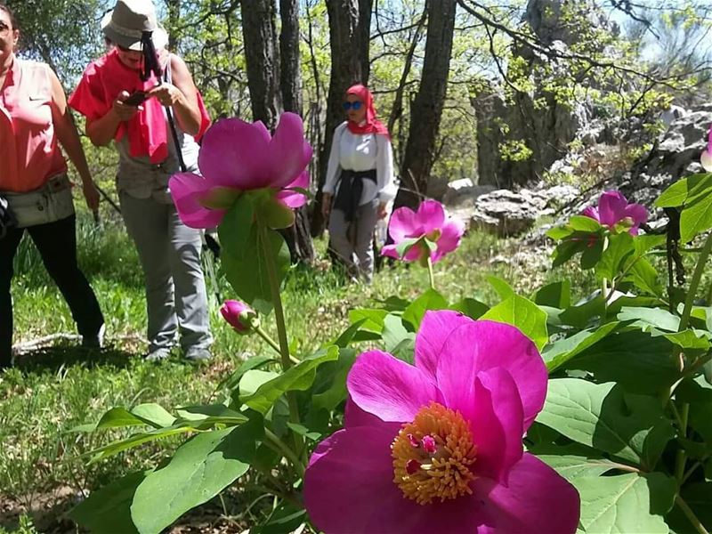 Take a deep breath. JabalMoussa  unescomab  unesco  biospherereserve ...