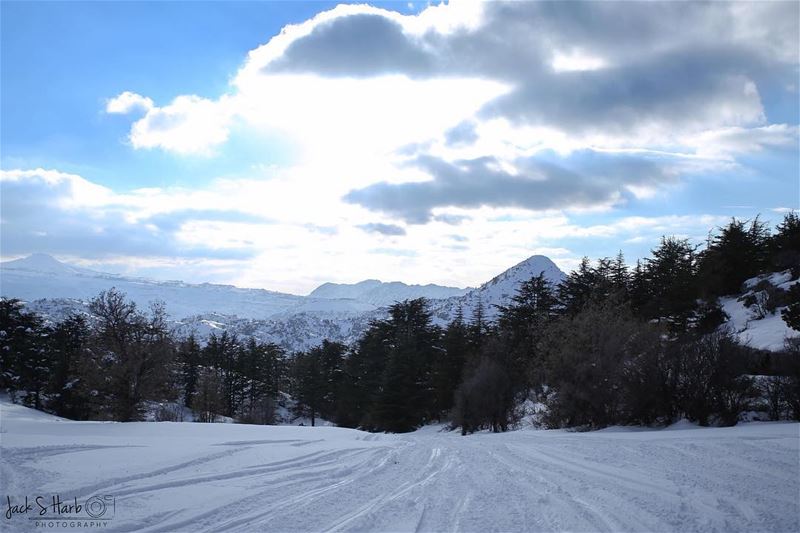 Take a drive through the snow. ❄️  lebanon  beirut  batroun ... (Tannourine Cedars Nature Reserve)