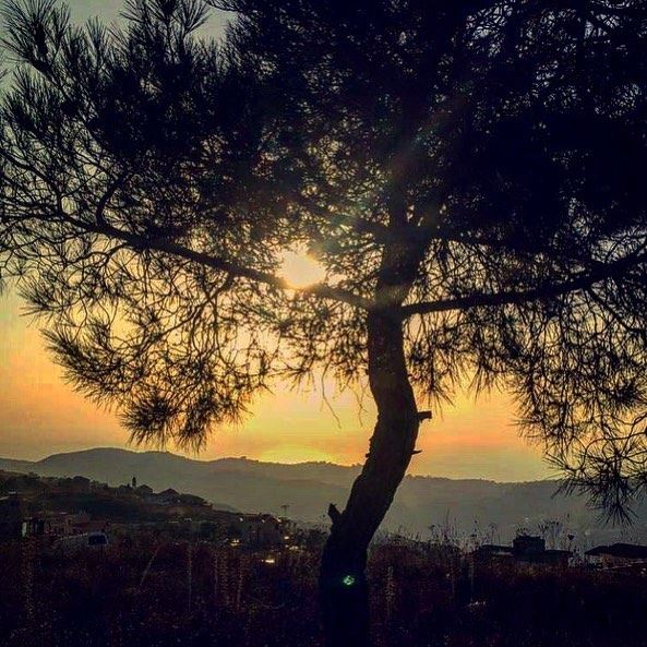 Take a moment to enjoy God’s creation 💛  sunset  beautiful  view  god ... (Bhamdoûn, Mont-Liban, Lebanon)
